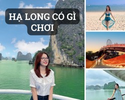 Hạ Long Có Gì Chơi