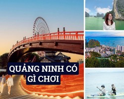 Quảng Ninh Có Gì Chơi