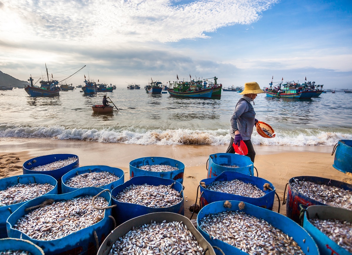 Làng chài Trà Cổ